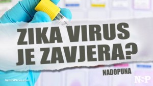 Zika virus je sada mentalna epidemija širokih razmjera zahvaljujući histeriji masovnih medija