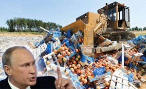 PLJUSKA MONSANTU I ČITAVOM ZAPADU: Putin naredio uništavanje 7.500 tona zapadne GMO hrane