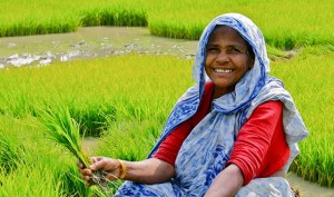 POSRAMILI MONSANTO: Indijski poljoprivrednici razotkrili mit koji kaže da će GMO nahraniti svijet i iskorijeniti glad!