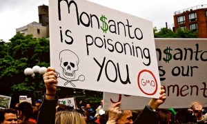 ZAŠTO HRVATI TOLIKO OBOLJEVAJU OD RAKA: Kod Hrvatice pronašli najvišu razinu Monsantovog glifosata u Europi
