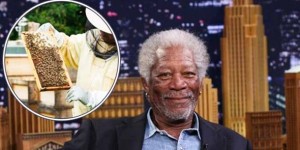 Oskarovac Morgan Freeman: ‘Optužujem Monsanto za masovnu smrt pčela na planeti’