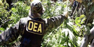 Bolivija je prva zemlja koja je završila rat protiv droge izbacivši iz zemlje američku Agenciju DEA, nakon čega je kriminal drastično opao