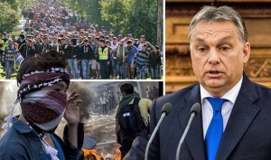 EUROPSKA UNIJA JE PONIŽENA: Mađarski narod je odlučio sa 98% da ne želi islamiste u svojoj blizini