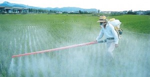 Poražavajući izvještaj UN-a: 200.000 ljudi godišnje umire zbog trovanja pesticidima