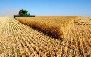 Talijanski  nobelovac: Rusija će opskrbiti svijet zdravom ne-GMO hranom