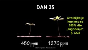 CO2 JE PRIRODNI PLIN OD KOJEG BILJKE RASTU, A MASONI I GLOBALISTI GA POKUŠAVAJU ELIMINIRATI IZ ATMOSFERE!