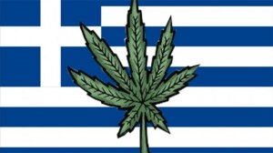 GRČKA LEGALIZIRALA MEDICINSKU MARIHUANU