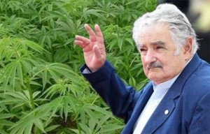 JOSE MUJICA DOVEO FARMACIJU DO SUZA: Urugvaj napokon legalizirao marihuanu u rekreativne svrhe