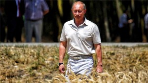 Putin: GMO čini muškarce neplodnima