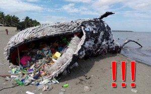 ŠOKANTNI PRIZORI: U kitovima koji su se nasukali na obali Njemačke pronađeni puni želuci plastike