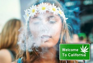 JOŠ JEDAN ŠAMAR FARMACEUTSKOJ INDUSTRIJI: Kalifornija legalizira rekreativnu marihuanu