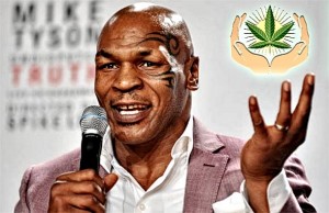 ŠAMPION TEŠKE KATEGORIJE: Mike Tyson pokreće farmu kanabisa u Kaliforniji