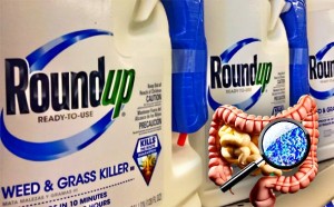 NOVO ISTRAŽIVANJE: Glifosat iz Monsantovog herbicida Roundup ubija korisne mikrobe u tlu i u ljudskim crijevima