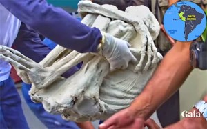 ZNANOST NA KOLJENIMA: ‘Vanzemaljske’ mumije iz Perua imaju ljudske kromosome, ali ne i anatomiju