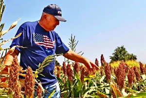 EKONOMSKA ODMAZDA: Kina uvodi carinske tarife od čak 179 posto na uvoz američkih žitarica