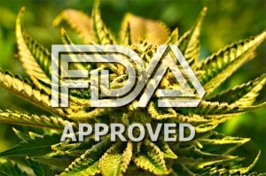 Medicinska prekretnica: FDA odobrila FARMACEUTSKI LIJEK na bazi marihuane za uporabu na recept
