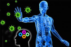 Istraživanje: Vaš imunološki sustav ima memoriju vaših bolesti