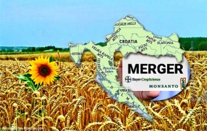 Monsanto više ne postoji! Provjerite novo ime zloglasne kompanije koji cilja na Slavoniju
