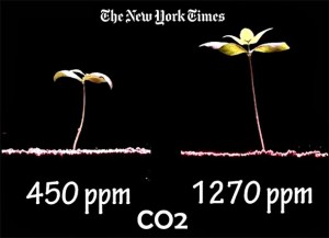 NEW YORK TIMES doslovno izjavio da je ‘rast biljaka’ na Zemlji uz pomoć CO2 – strašna stvar!