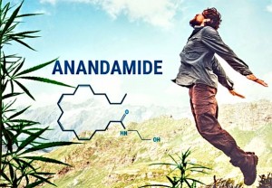 Poznata kao ‘molekula blaženstva’, anandamid je prirodan način stimuliranja osjećaja sreće
