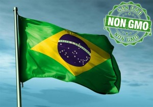 BRAZIL napokon zabranio korištenje GLIFOSATA zbog straha javnosti da uzrokuje rak