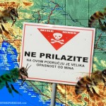 mine-pcele TRENIRANE PČELE USPJEŠNO PRONALAZE MINE U HRVATSKOJ