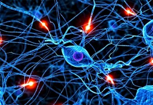 Kako na prirodan način povećati regeneraciju moždanih stanica