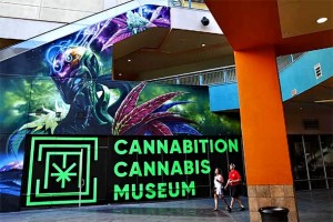 AMERIKANCI NADMAŠILI SAMI SEBE: U Las Vegasu otvoren prvi Muzej marihuane