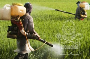 Monsanto tj. Bayer se sada suočava sa više od 8.000 tužbi koje tvrde da njihov herbicid Roundup uzrokuje rak