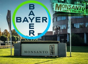 Bayer ukinuo 12.000 radnih mjesta širom svijeta jer se tvrtka suočava sa 10.000 tužbi zbog Monsantovog herbicida Roundup koji uzrokuje rak