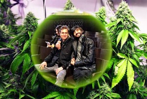 Slovenski aktivist za legalizaciju kanabisa i njegov prijatelj oslobođeni, dok Hrvat ‘guli’ kaznu zatvora od 2 godine jer se liječio uz pomoć marihuane