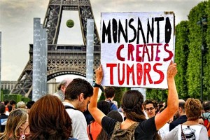 Sud zabranio upotrebu Monsantovog ubojice korova ‘Roundup’ u Francuskoj jer ‘uzrokuje rak’