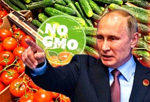 Putin naredio stvaranje ruskog branda ‘zelene’ i ne-GMO hrane koja će biti svjetski poznata