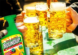 Popularni Monsantov zloglasni kancerogeni ubojica korova pronađen u popularnim brandovima piva i vina