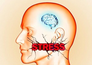 ISTRAŽIVANJE: Dugotrajni intenzivni stres može smanjiti vaš mozak i totalno vas zaglupiti