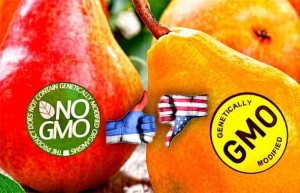 Rusija označava svoju uvoznu GMO hranu, dok američka vlada to prepušta biotehnološkim trovačima i propagandistima