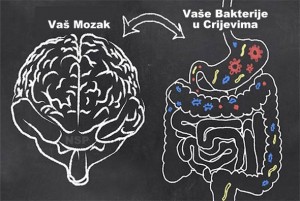 OPREZ! Je li depresija samo simptom lošeg zdravlja crijeva? Studija potvrdila vezu između crijeva i zdravlja mozga