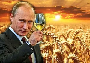 AMERIČKO MINISTARSTVO POLJOPRIVREDE: Rusija će zadržati krunu najvećeg svjetskog izvoznika pšenice