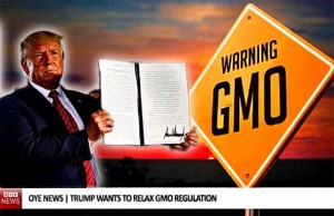 ŠOKANTNA ODLUKA: Trump potpisao izvršnu odredbu koja će okončati većinu regulacija i nadzor GMO hrane