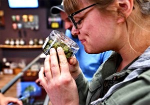 DANAŠNJI Milenijalci preferiraju prirodnu medicinu: ‘Najzabrinutija generacija’ se smiruje od anksioznosti uz pomoć CBD ulja od marihuane