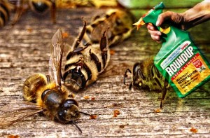 500 milijuna pčela uginulo u 3 mjeseca u Brazilu, razlog je užasan
